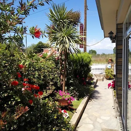 Petridis Olympiakí Aktí