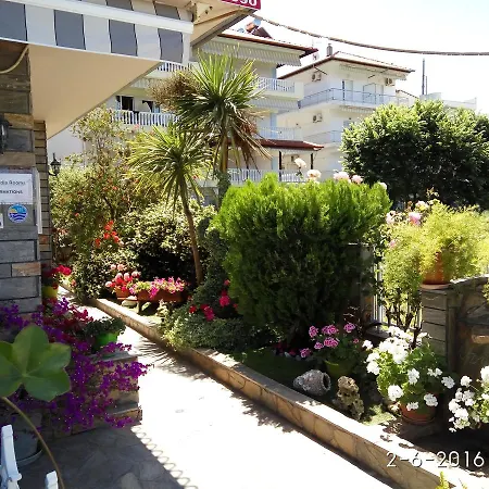 Petridis * Olympiakí Aktí