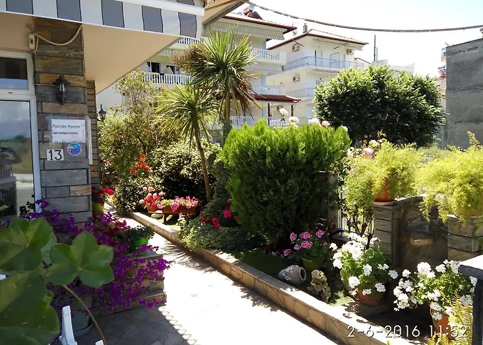 Petridis * Olympiakí Aktí