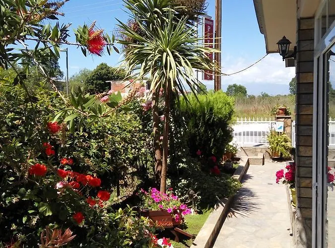 Petridis Olympiakí Aktí